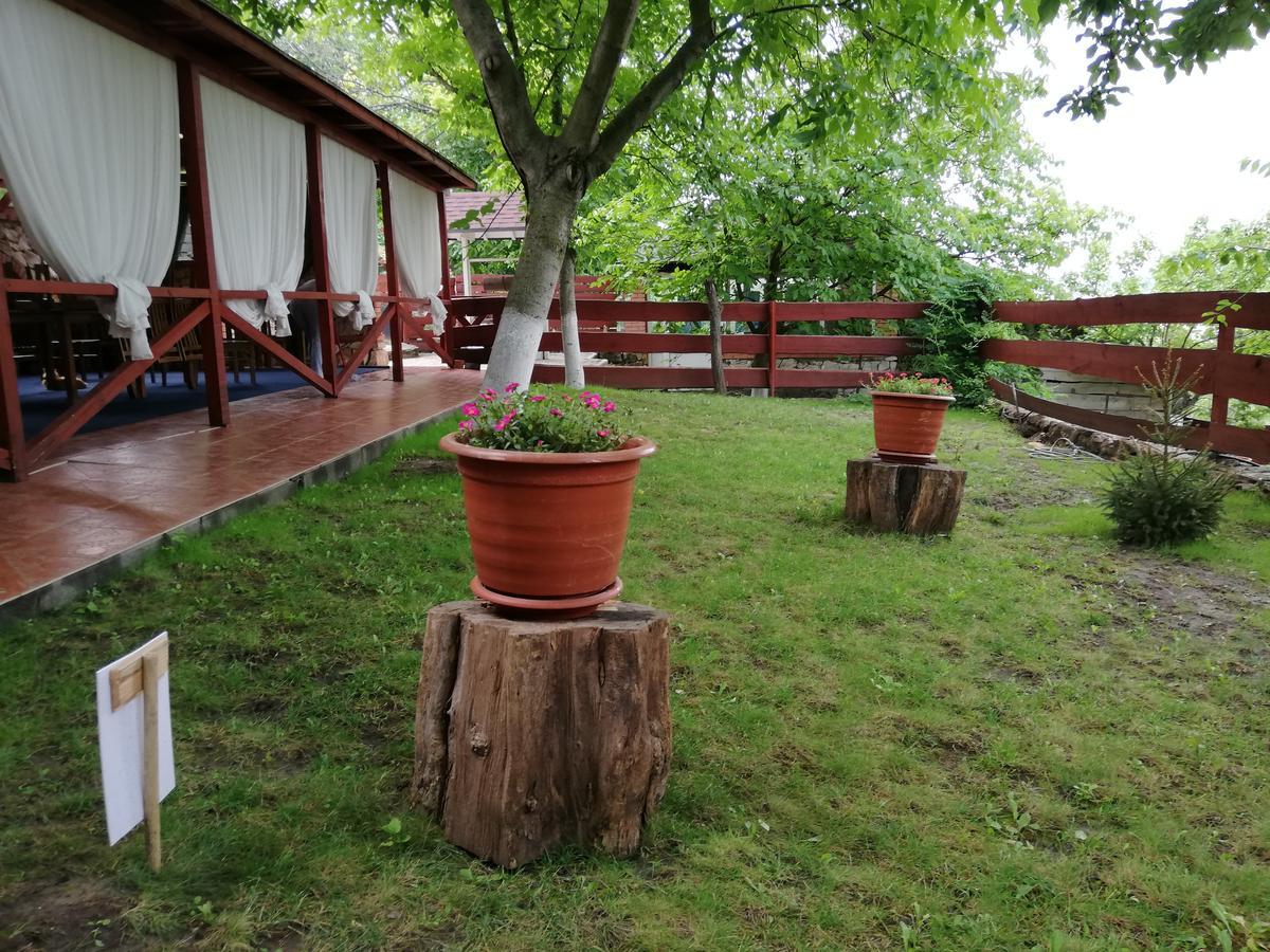 Grace Villa Codru Bagian luar foto